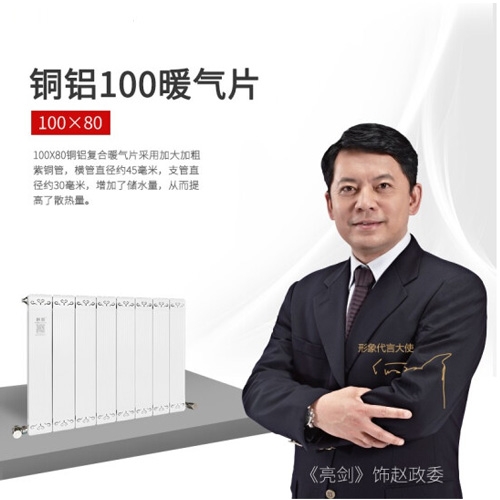 銅鋁復合100×80散熱器